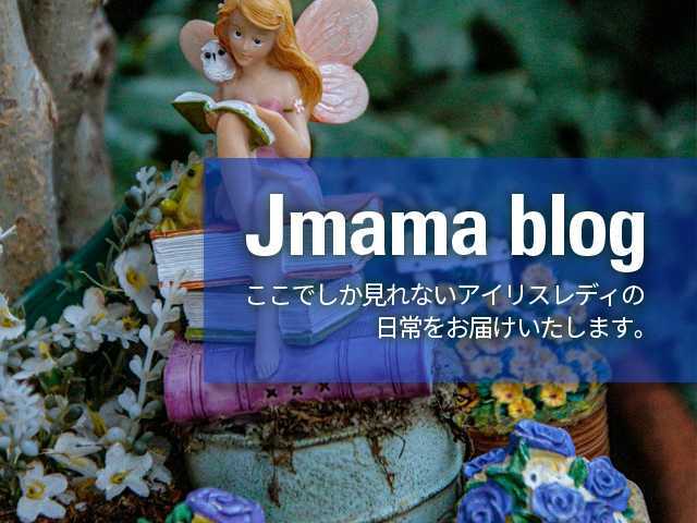 J-mama brother’s blog