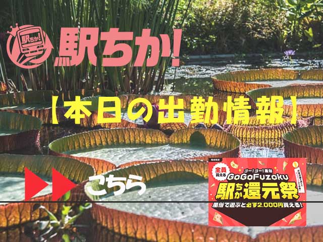 本日の出勤予定
