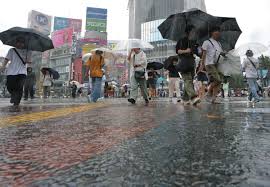 地震や台風などの自然災害について内容