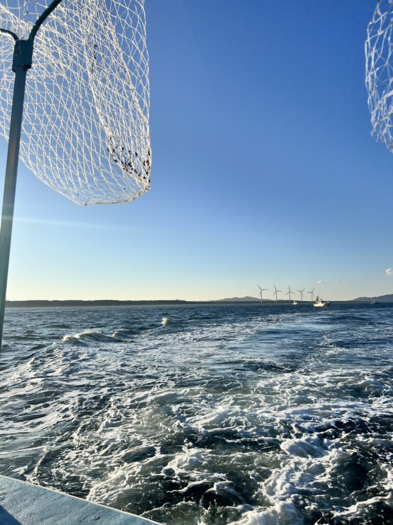 魚釣り