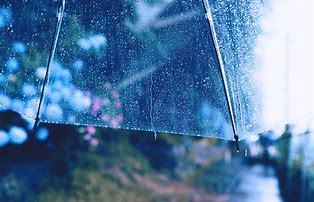 雨