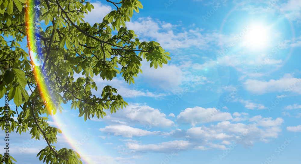 今年の夏!