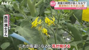 梅雨が終わって、もう夏ですか～「小野瀬 あかり」