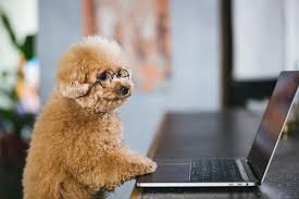 高級デリヘル、ブログ、風俗ブログ、デリヘルブログ、名古屋ブログ 高級、会員制-1.jpg