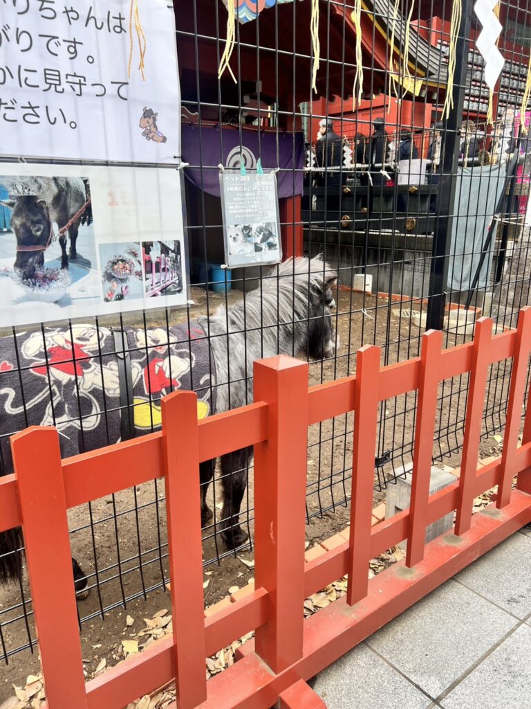 高級デリヘル、ブログ、風俗ブログ、デリヘルブログ、名古屋ブログ、名古屋