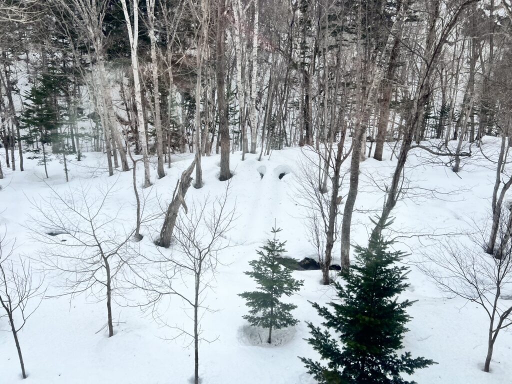 旅行【三好さえ】