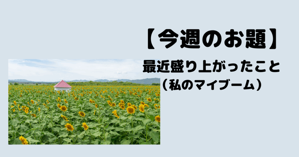 最近の私のマイブーム【三好 さえ】