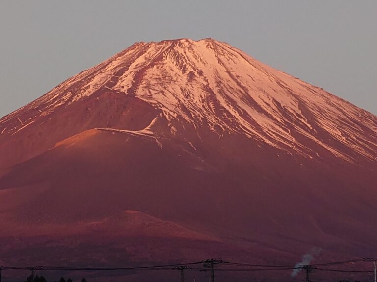 2025年🐍🎍🌅🎍/長谷川 凛/クラブアイリス