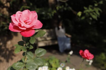 感じる事全てが大切な事なのです。
