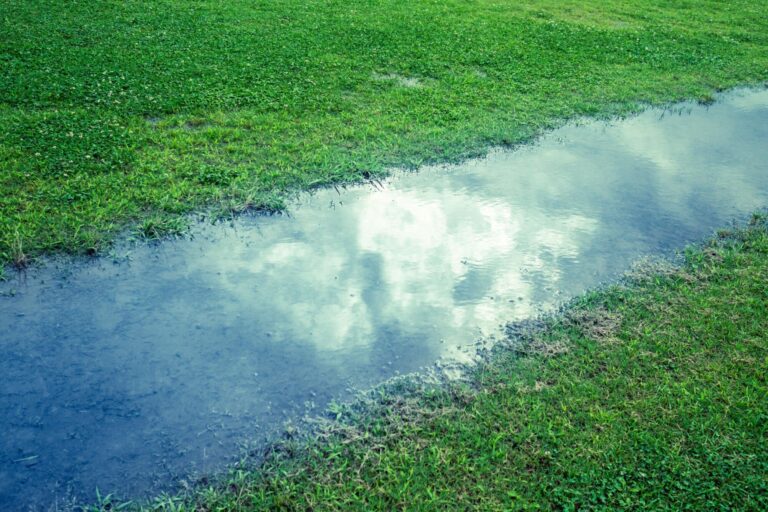 洗いたての空気と、うれしい勘違い/香咲 彩愛/クラブアイリス