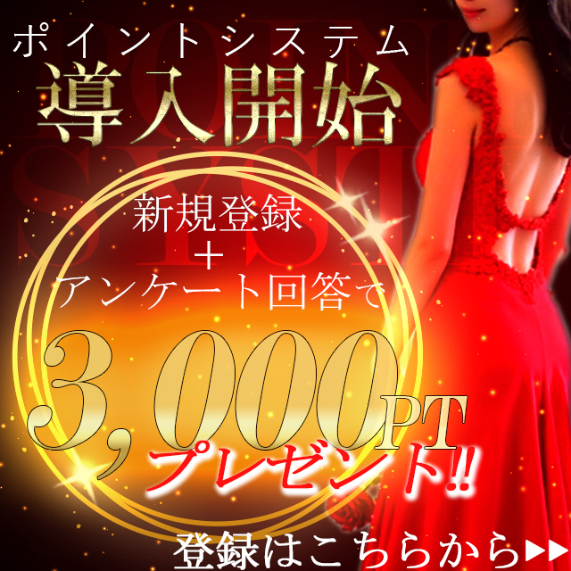 ポイントシステム