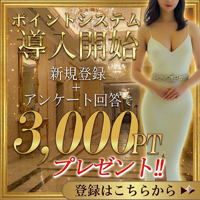 ポイントシステム