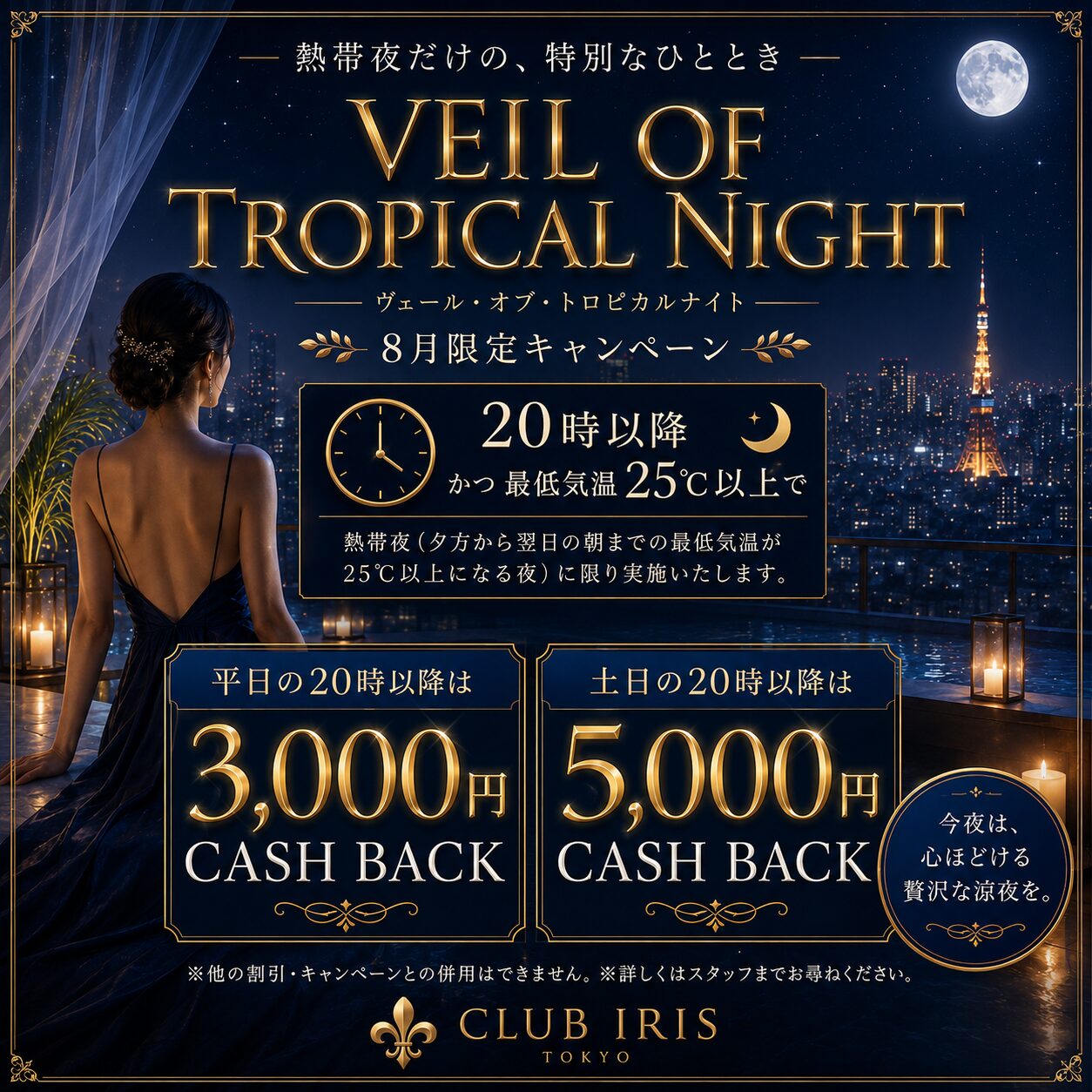 VEIL OF TROPICAL NIGHT